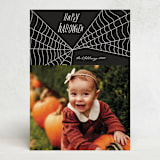 "Web" - Halloween Cards in Night by Morgan Kendall - Front