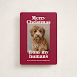 "Happy Howlidays" - Holiday Cards in Pomegranate by Annie Clark - Front