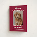 "Happy Howlidays" - Holiday Cards in Pomegranate by Annie Clark - Folded Card