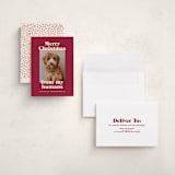 "Happy Howlidays" - Holiday Cards in Pomegranate by Annie Clark - Assembled