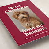 "Happy Howlidays" - Holiday Cards in Pomegranate by Annie Clark - Detail