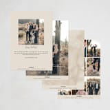 "Modern Script" - Holiday Cards in Taupe by Katy Shen - Back of Card Options