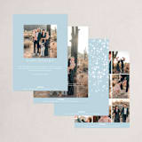 "Stardusted Name" - Holiday Cards in Snow by Robin Ott - Back of Card Options