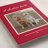 "Christmas Treats" - Holiday Cards in Red Chew Toy by Sarah Hawkins Designs - Detail