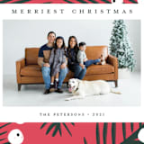 "White Berries" - Holiday Cards in Persimmon by Cricket and Bee - Detail