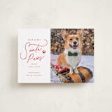 "Here Comes Santa Paws" - Holiday Cards in Cherry by Everett Paper Goods - Front
