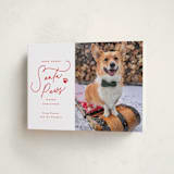 "Here Comes Santa Paws" - Holiday Cards in Cherry by Everett Paper Goods - Folded Card