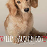 "naughty dog" - Holiday Cards in Fire Engine by Erin Deegan - Detail