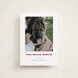 "Indeed" - Holiday Cards in Peppermint by Kristen Knechtel - Front