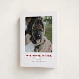 "Indeed" - Holiday Cards in Peppermint by Kristen Knechtel - Folded Card