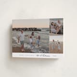"Elegant Trio" - Holiday Cards in Snow by Nicole Walsh - Folded Card