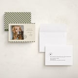 "Mostly Good" - Holiday Cards in Forest by Roxy Cervantes - Assembled