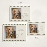 "Mostly Good" - Holiday Cards in Forest by Roxy Cervantes - Formats Available