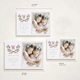 "Holly Monogram" - Holiday Cards in Holly Berry by Wildfield Paper Co - Formats Available