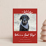 "Good Boy" - Holiday Cards in Crimson by J. Dario Design Co. - Front