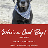 "Good Boy" - Holiday Cards in Crimson by J. Dario Design Co. - Detail