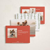 "Holly Garland and Bow" - Holiday Cards in Candy Cane by Paula Pecevich - Back of Card Options