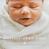 "Merrier Than Ever Before" - Holiday Cards in Snowfall by Carolyn MacLaren - Detail