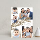 "Garland" - Holiday Cards in Snow by Rebecca Durflinger - Front