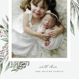 "Classic Greenery" - Holiday Cards in Forest by Nicoletta Savod - Detail