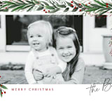 "Draped Garland" - Holiday Cards in Snow by Kaydi Bishop - Detail