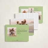 "Framed in Stripes" - Holiday Cards in Holly by Poised Avenue - Back of Card Options