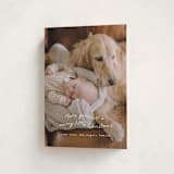 "very merry little Christmas" - Holiday Cards in Snowfall by Leah Ragain - Folded Card