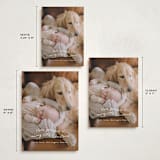 "very merry little Christmas" - Holiday Cards in Snowfall by Leah Ragain - Formats Available