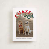 "Chase Joy" - Holiday Cards in Holly by Angela Garrick - Front