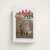 "Chase Joy" - Holiday Cards in Holly by Angela Garrick - Folded Card