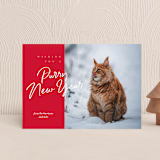 "purry christmas" - Holiday Cards in Holiday by Eric Clegg - Front