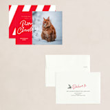 "purry christmas" - Holiday Cards in Holiday by Eric Clegg - Assembled