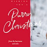 "purry christmas" - Holiday Cards in Holiday by Eric Clegg - Detail