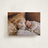 "very merry little Christmas" - Holiday Cards in Snowfall by Leah Ragain - Front