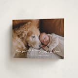 "very merry little Christmas" - Holiday Cards in Snowfall by Leah Ragain - Folded Card