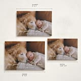 "very merry little Christmas" - Holiday Cards in Snowfall by Leah Ragain - Formats Available