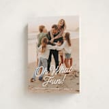 "what fun!" - Holiday Cards in Snow by Susan Asbill - Folded Card