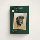 "Nice pup" - Holiday Cards in Forest by Kat Roberts - Folded Card