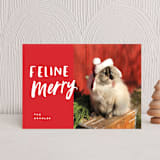"Feline Merry" - Holiday Cards in Santa Suit by Chryssi Tsoupanarias - Front