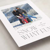 "Snow What Fun" - Holiday Cards in Ink by Olivia Raufman - Detail