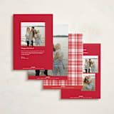 "Joyful Beauty" - Holiday Photo Mount Cards in Blush by Stacey Day - Back of Card Options