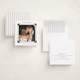 "Album View" - Holiday Photo Mount Cards in Snow by Everett Paper Goods - Assembled