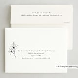 "Sparkling New Year" - Holiday Cards in Midnight by Paula Pecevich - FREE Recipient Addressing