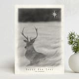 "Red Deer" - Holiday Cards in Starlight by jinseikou - Front