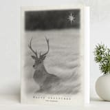 "Red Deer" - Holiday Cards in Starlight by jinseikou - Folded Card