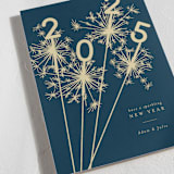 "Sparklers" - Holiday Cards in Navy by Paula Pecevich - Detail