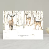 "Enchanted Forest" - Holiday Cards in Halo by Teju Reval - Front