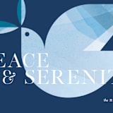 "serenity dove" - Holiday Cards in Midnight by amanda lawrence - Close-Up