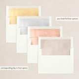 "Wings" - Holiday Cards in Cookie Dough by Yuliya Evseeva - Envelope Liners
