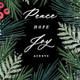 "Pine and Berry" - Holiday Cards in Midnight by Hooray Creative - Close-Up
